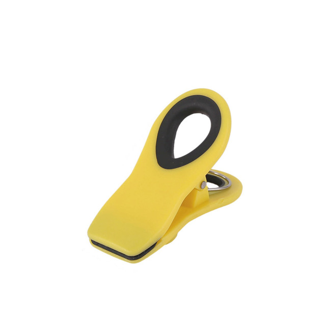 Magnetic bag clip