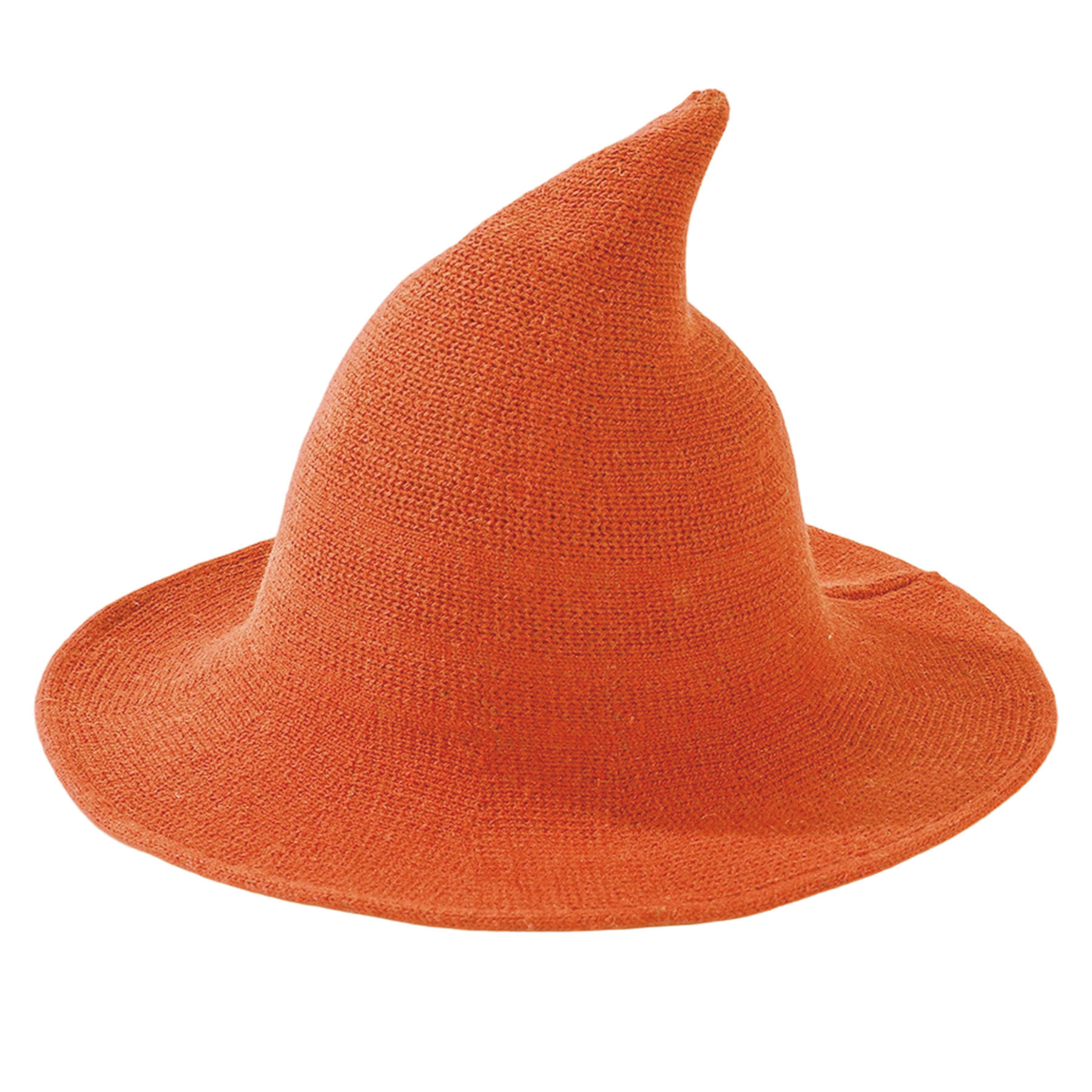 Halloween Witch Hat
