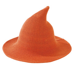 Halloween Witch Hat