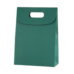 Kraft Paper Gift Bag