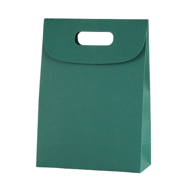 Kraft Paper Gift Bag