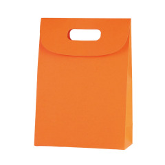 Kraft Paper Gift Bag