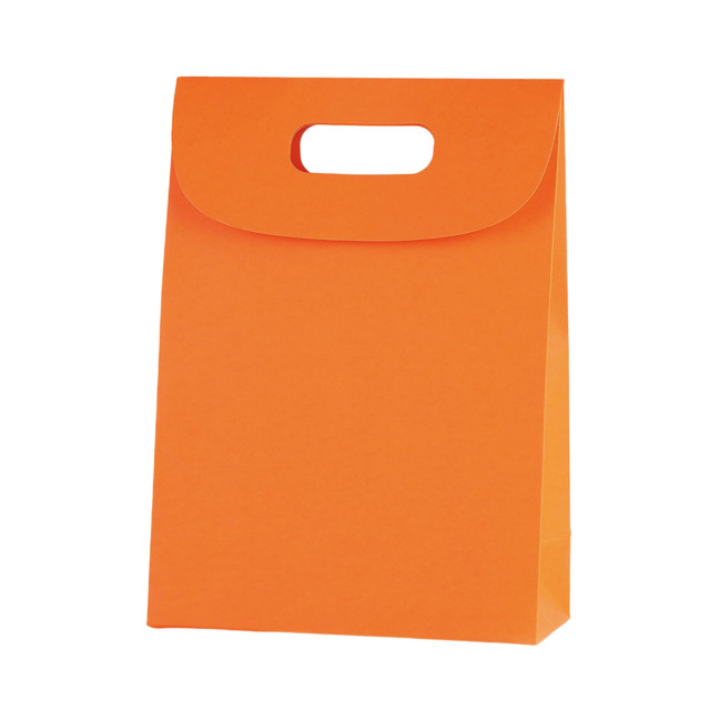 Kraft Paper Gift Bag