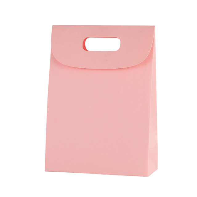 Kraft Paper Gift Bag