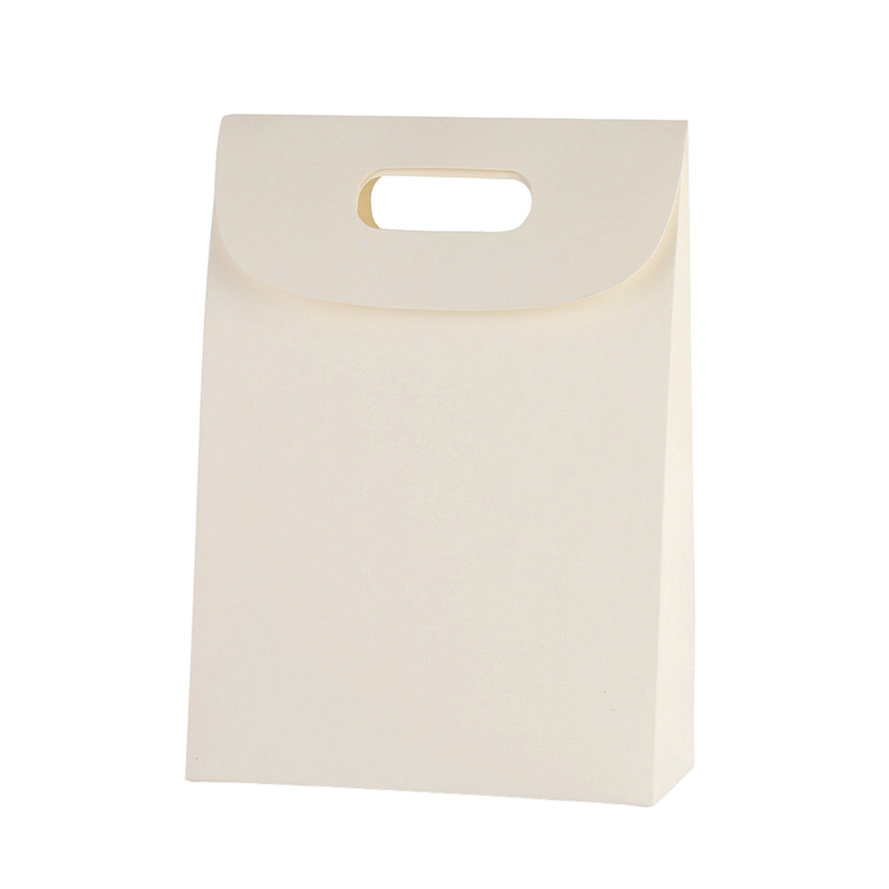 Kraft Paper Gift Bag