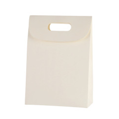 Kraft Paper Gift Bag