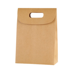 Kraft Paper Gift Bag