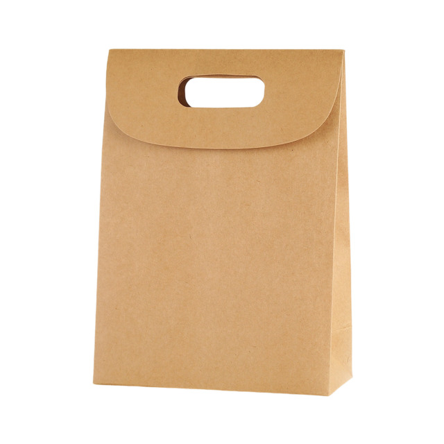Kraft Paper Gift Bag