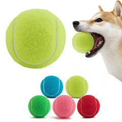 Pet Tennis