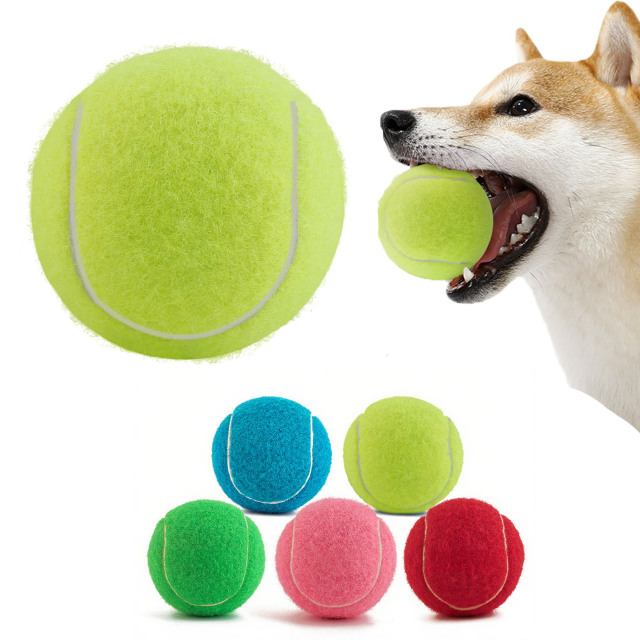 Pet Tennis