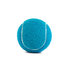 Pet Tennis