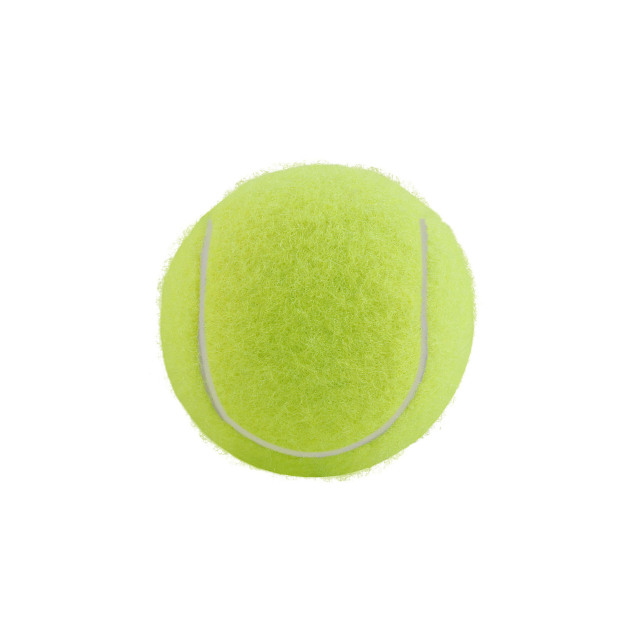 Pet Tennis