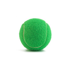 Pet Tennis