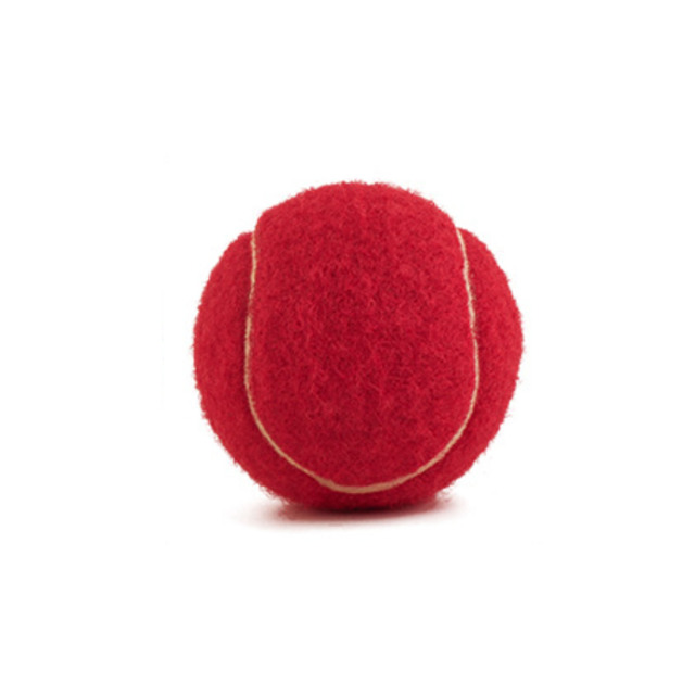Pet Tennis