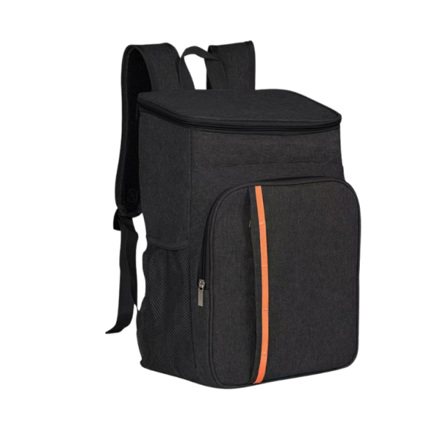 Portable Backpack Insulated Lunch Bag