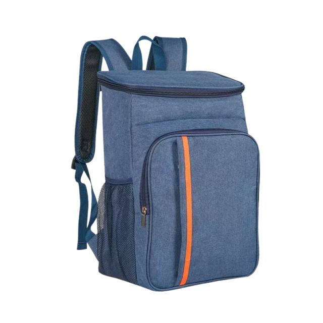 Portable Backpack Insulated Lunch Bag