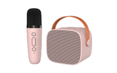 Mini Family Karaoke Machine