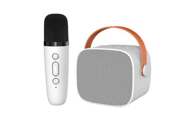 Mini Family Karaoke Machine