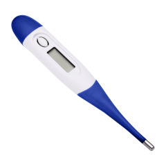Digital Thermometer With Clear Case
