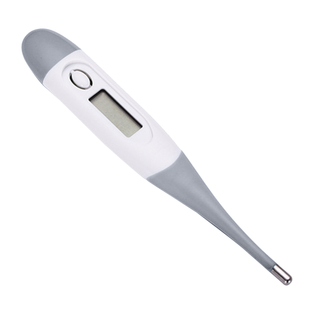 Digital Thermometer With Clear Case