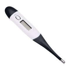 Digital Thermometer With Clear Case