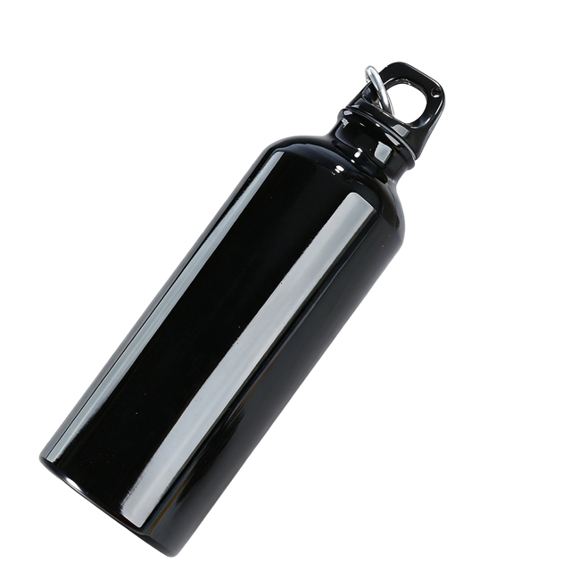 20 Oz Lightweight Aluminum Sports Bottle with Screw-On Lid and Carabiner