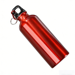 20 Oz Lightweight Aluminum Sports Bottle with Screw-On Lid and Carabiner