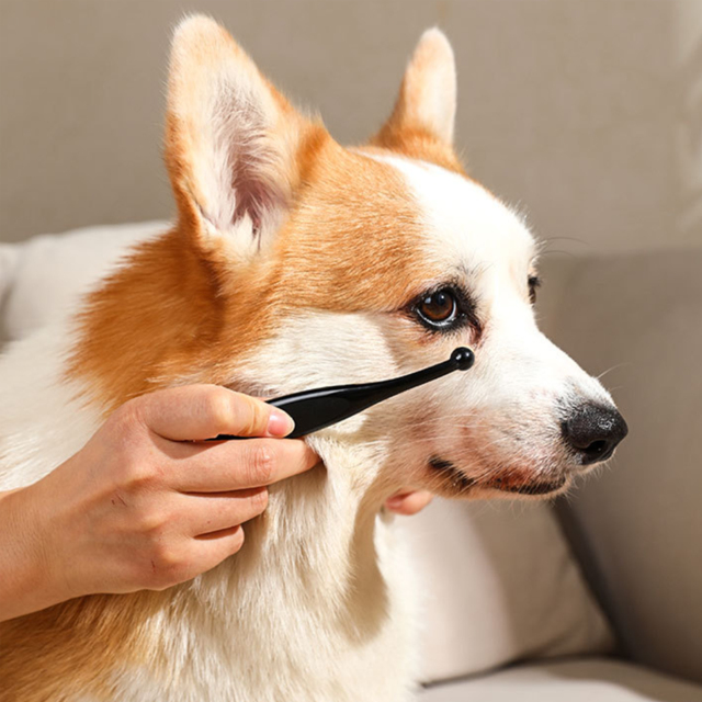 Pet Tear Remover Brush