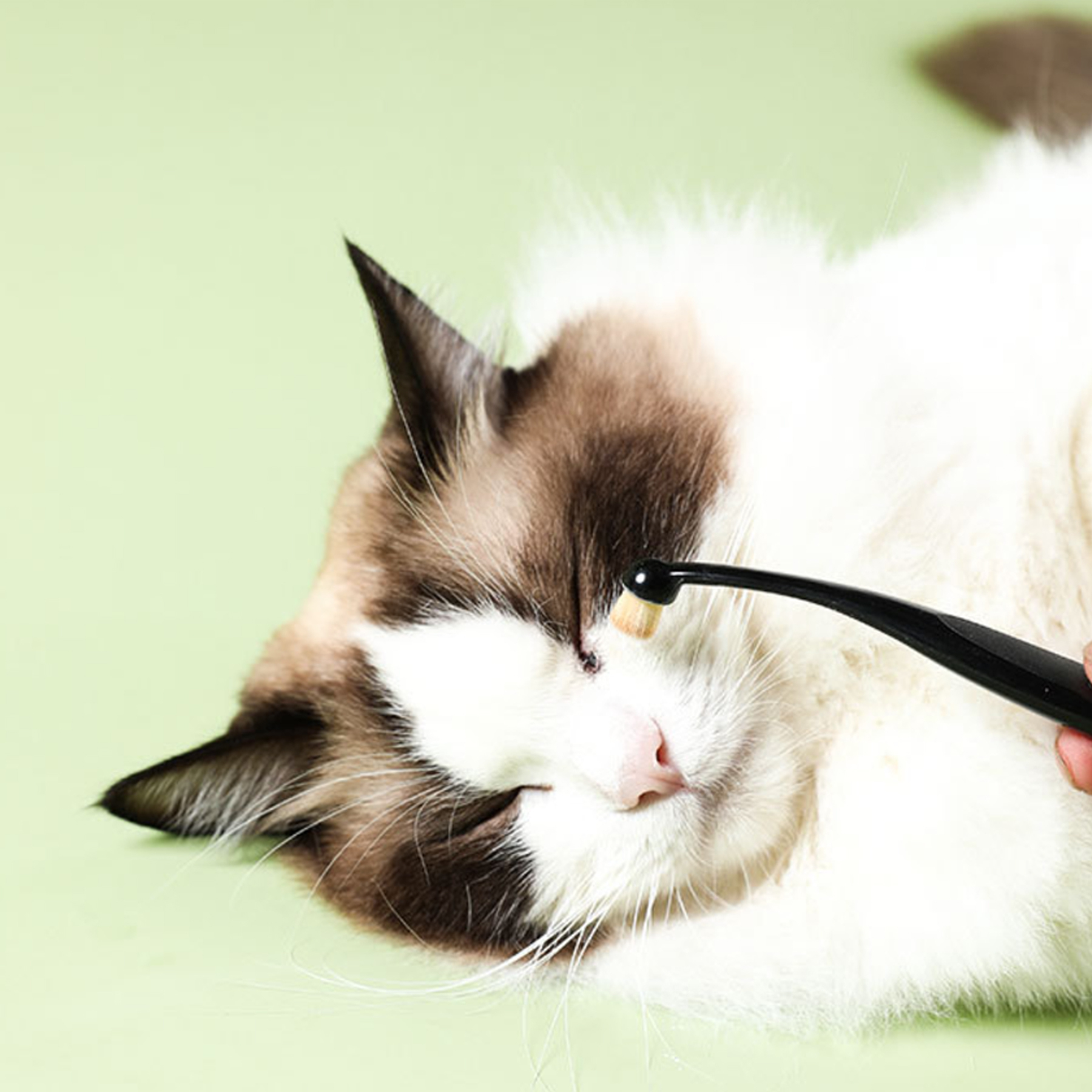 Pet Tear Remover Brush