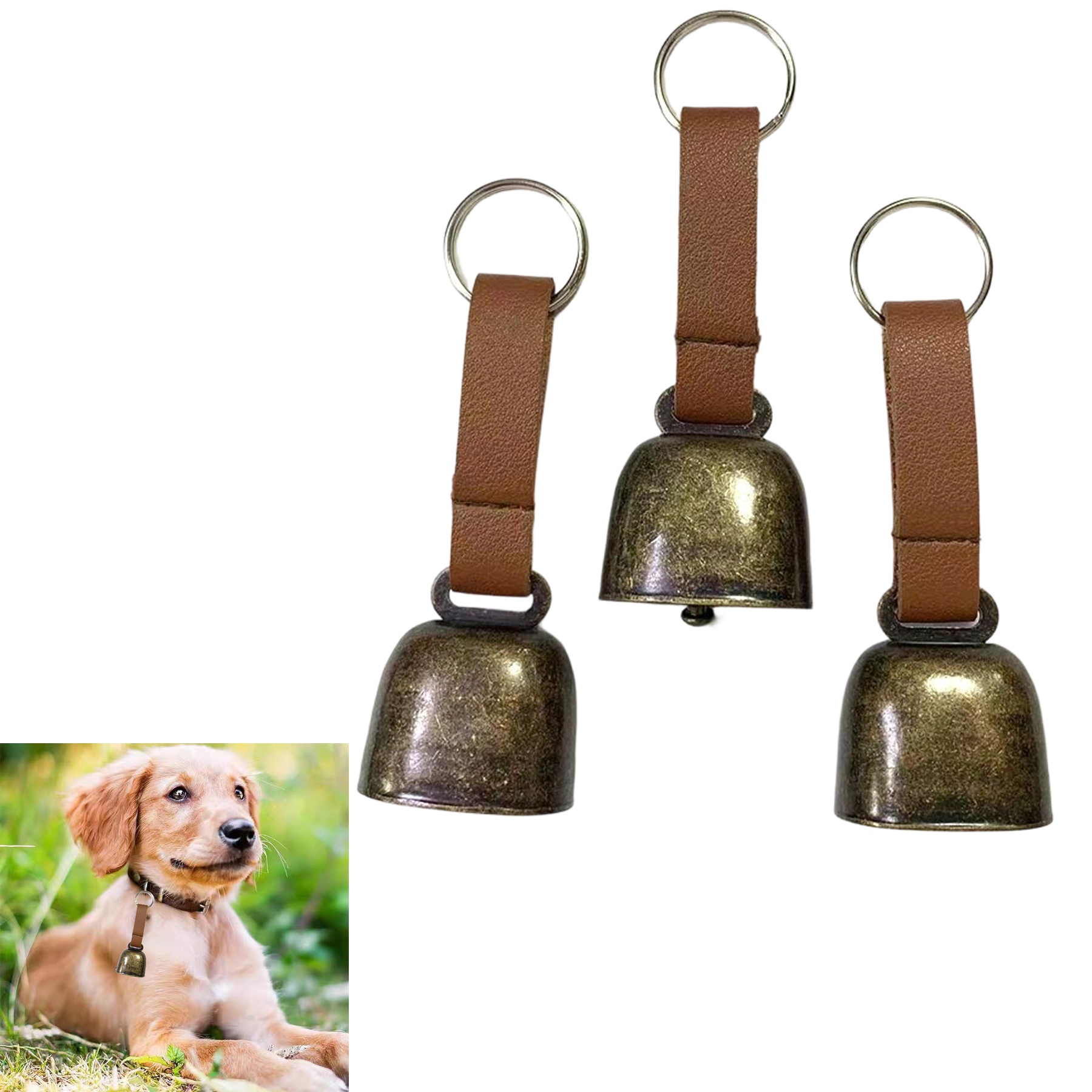 Pets Wearing Copper Bells