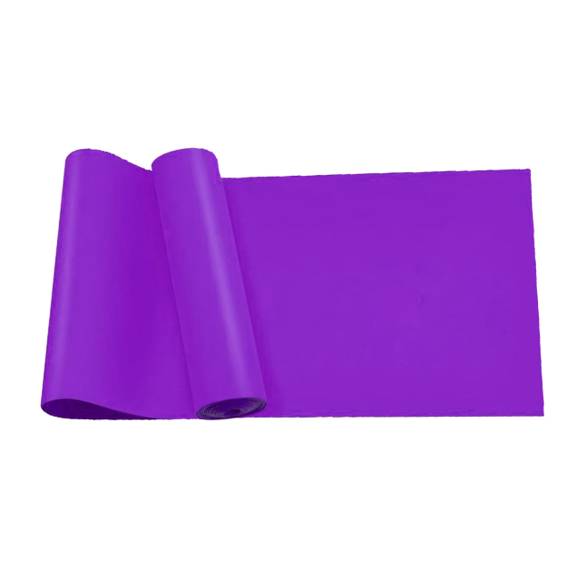 TPE Fitness Resistance Band