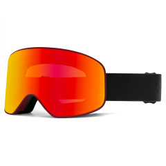 Custom OTG Anti Fog Ski Goggles