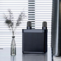 Mini Bluetooth Speaker - with Dual Microphones