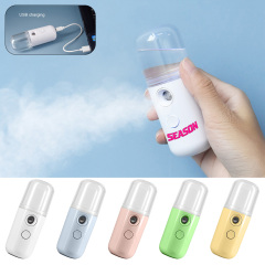Portable USB Handy Facial Humidifier Mister