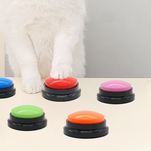 Custom Press-to-Play Pet Voice Recorder Box