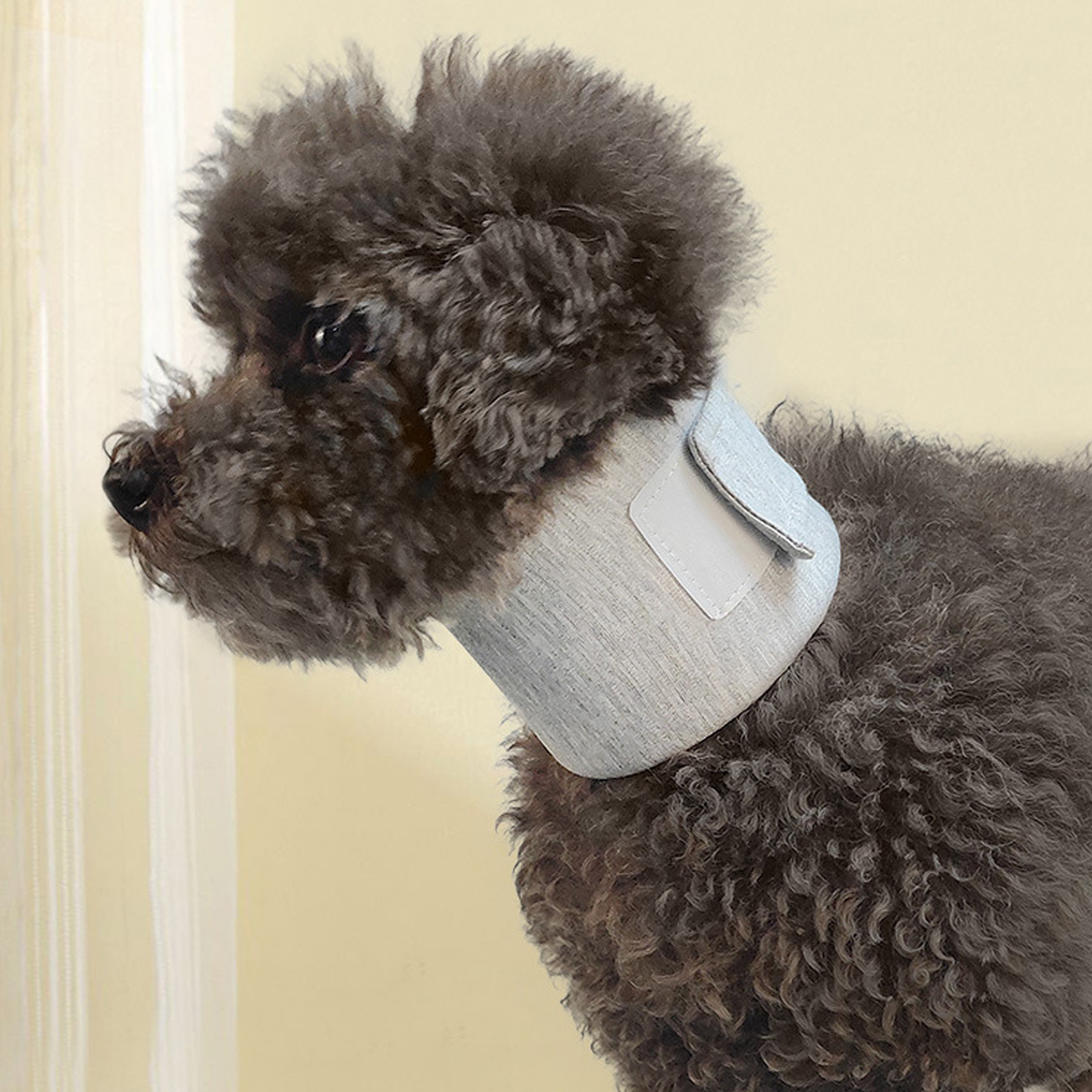 Adjustable Pet Recovery Neck Collar Anti-Lick Protection