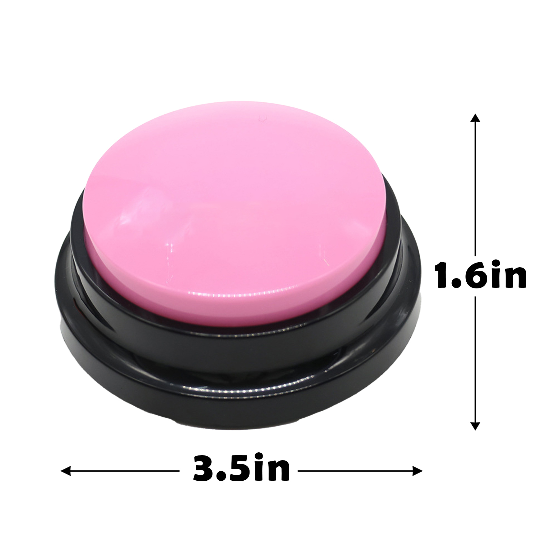 Custom Press-to-Play Pet Voice Recorder Box