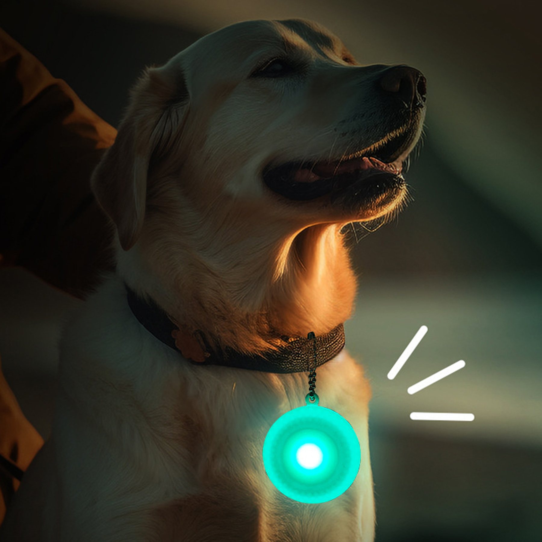 Pet Glow Anti-Lost Pendant Luminous Edition