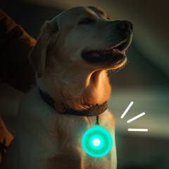 Pet Glow Anti-Lost Pendant Luminous Edition