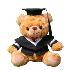 Custom Clothes for Graduation Plush Bear