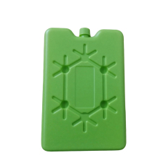 PE Cold Storage Ice Pack
