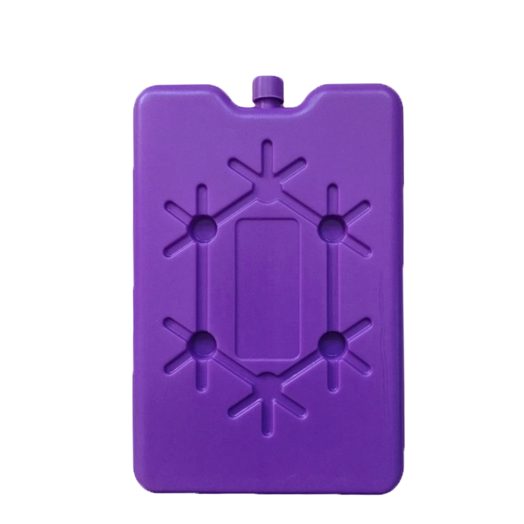 PE Cold Storage Ice Pack
