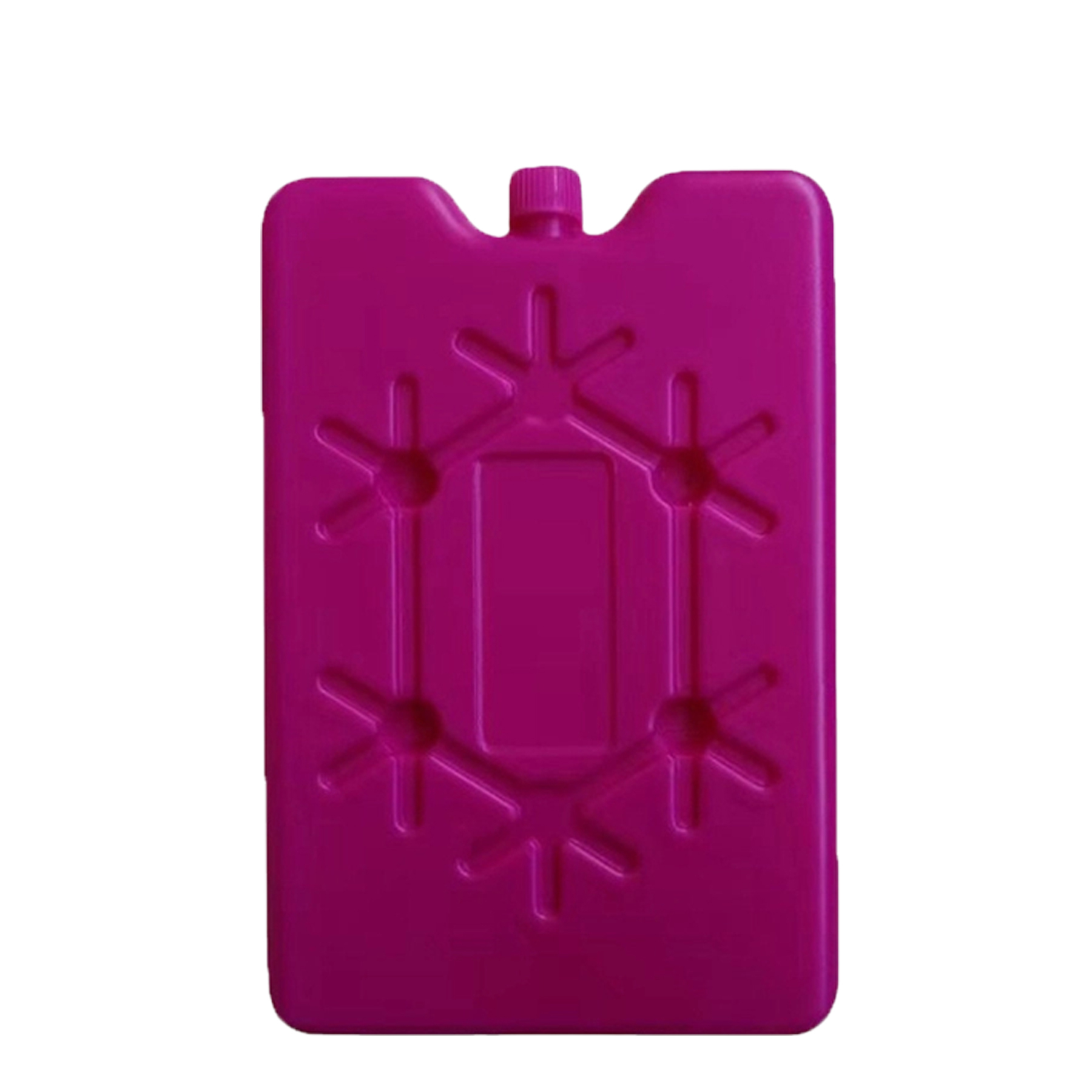 PE Cold Storage Ice Pack