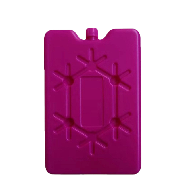 PE Cold Storage Ice Pack