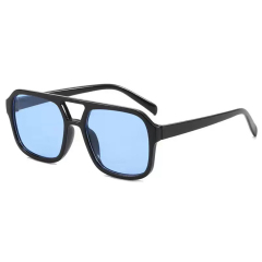 Square-framed Double Bridge Sunglasses