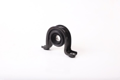 Center Support Bearing