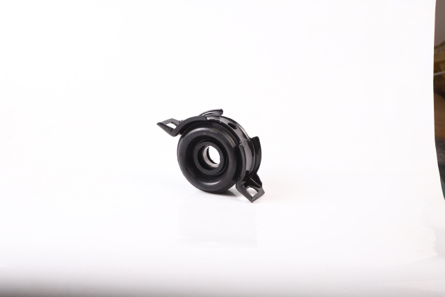 Center Support Bearing