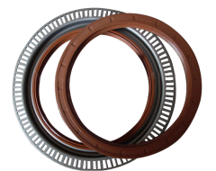 rear oil seal
