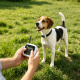 NAX101-pet electronic fence GPS Tracker for Dogs and Cats Smart Collar with Real-Time Location Tracking,NAX101-pet electronic fence GPS Tracker for Dogs and Cats Smart Collar with Real-Time Location Tracking