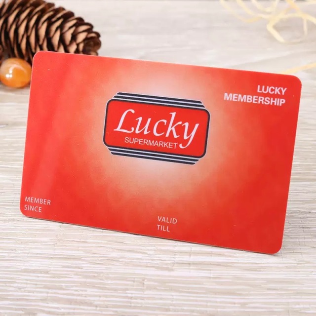 RFID Salto/kaba/onity/ Blank Plastic Hotel Door Key Cards with Chip